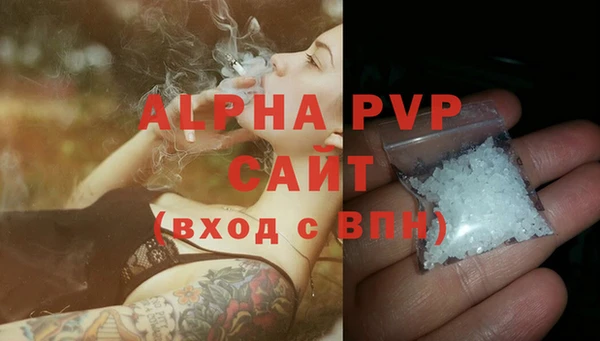 соль ск Пересвет
