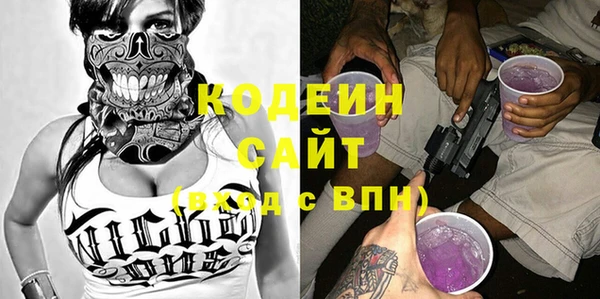 индика Бикин