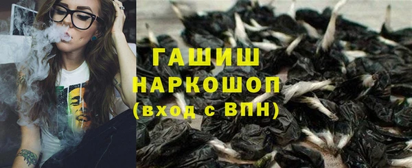 соль ск Пересвет