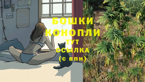 соль ск Пересвет