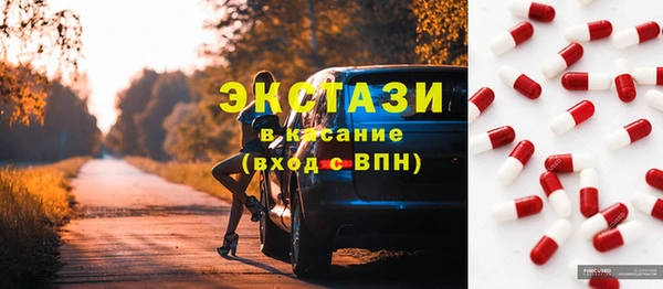 индика Бикин