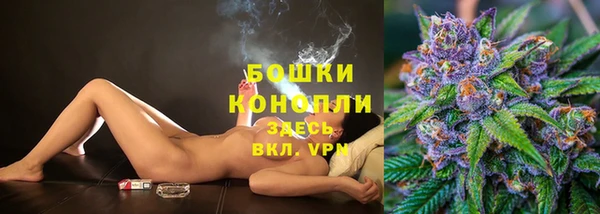 соль ск Пересвет
