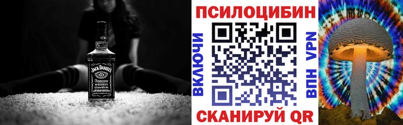ссылка на мегу ТОР купить наркотик Анива Псилоцибиновые грибы прущие грибы